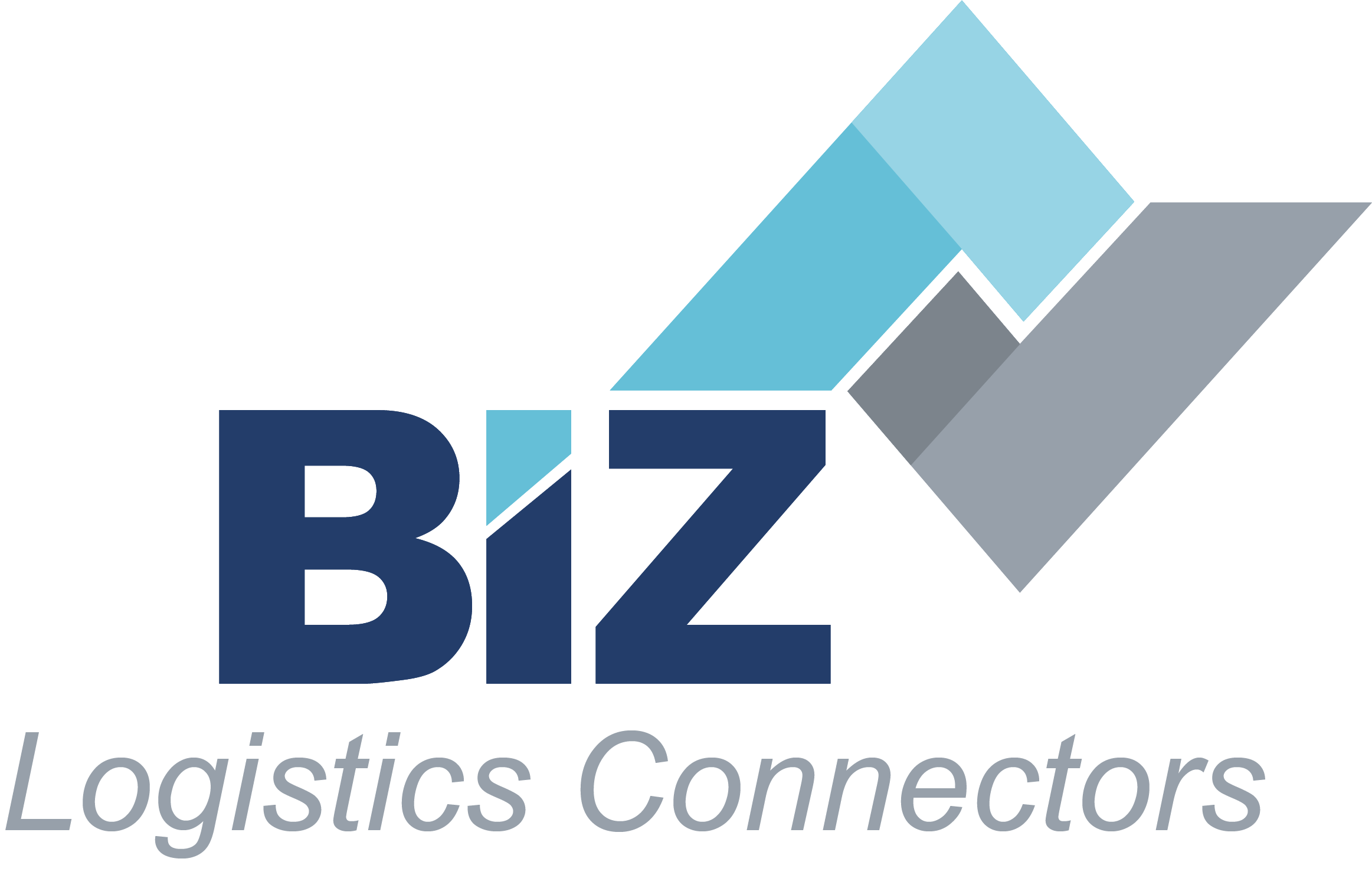 eBIZ